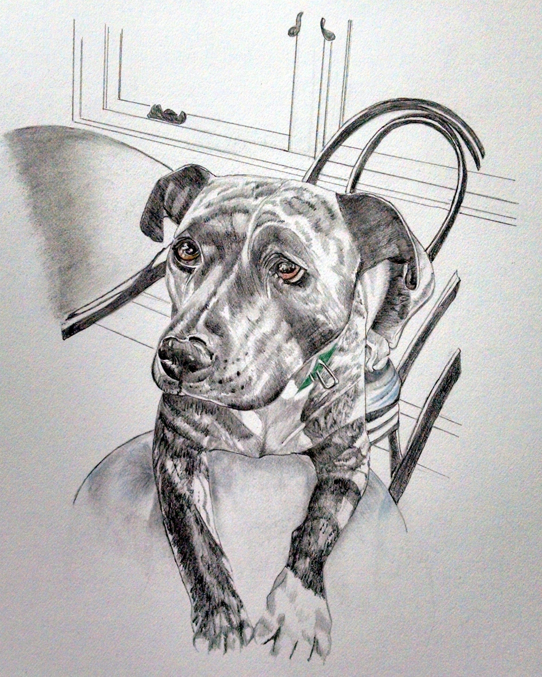 In owner's cafe, graphite