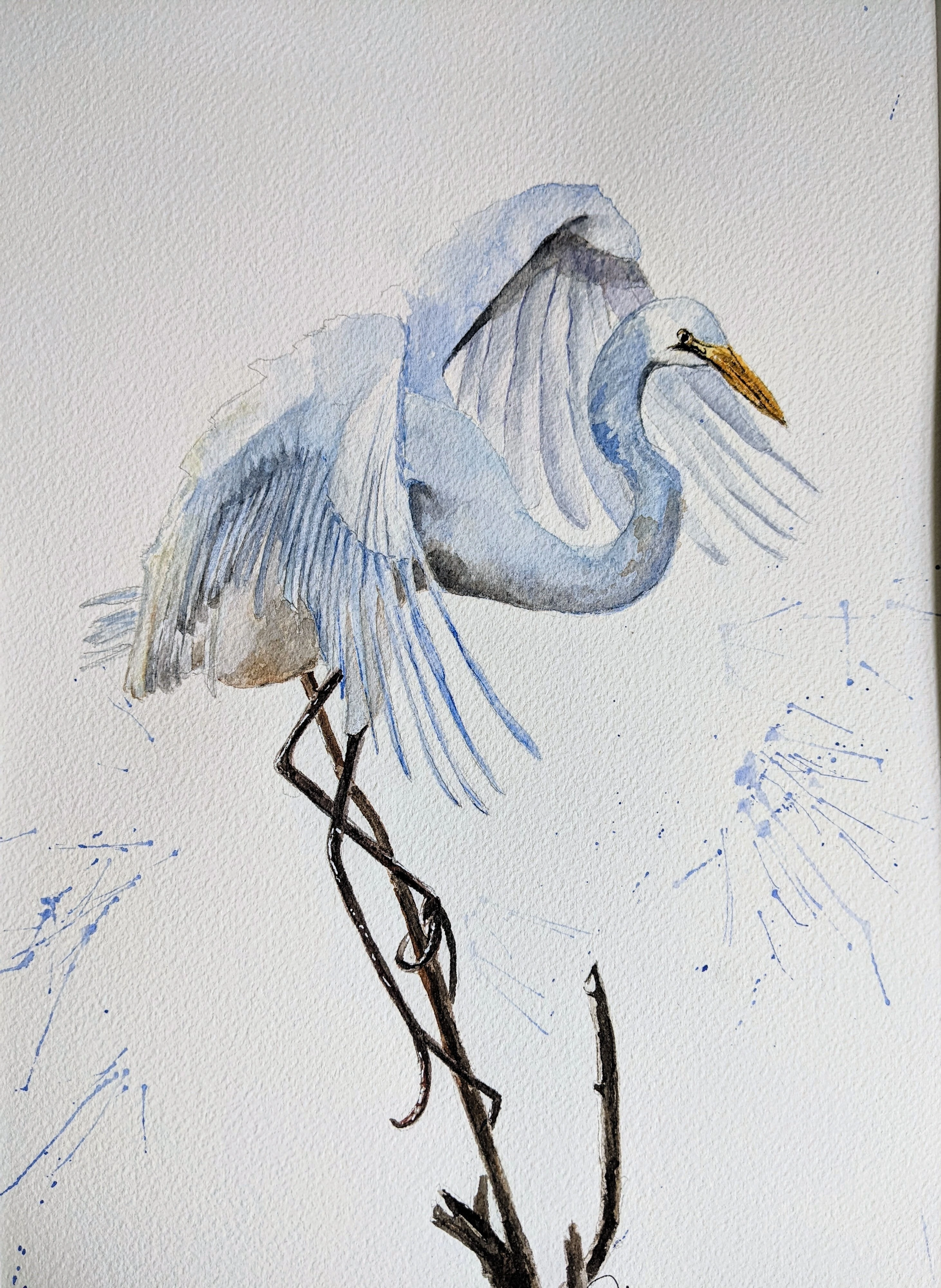 Watercolor of Egret